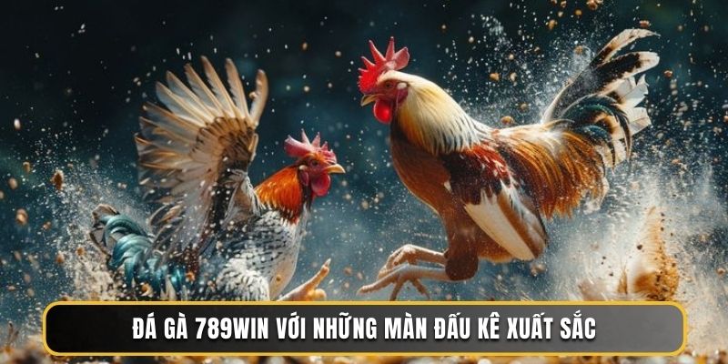 Đá gà 789WIN với những màn đấu kê xuất sắc